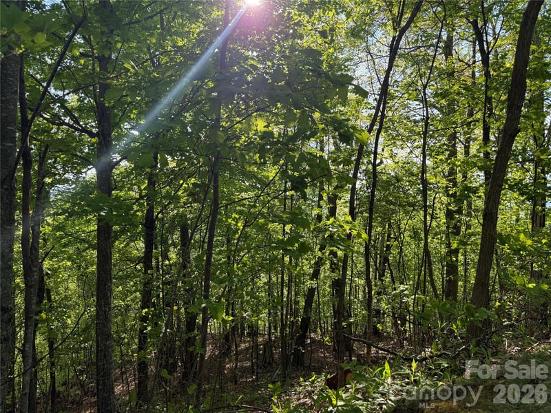 Lot 9 - 10 Andrew Banks Rd, Burnsville, NC 28714