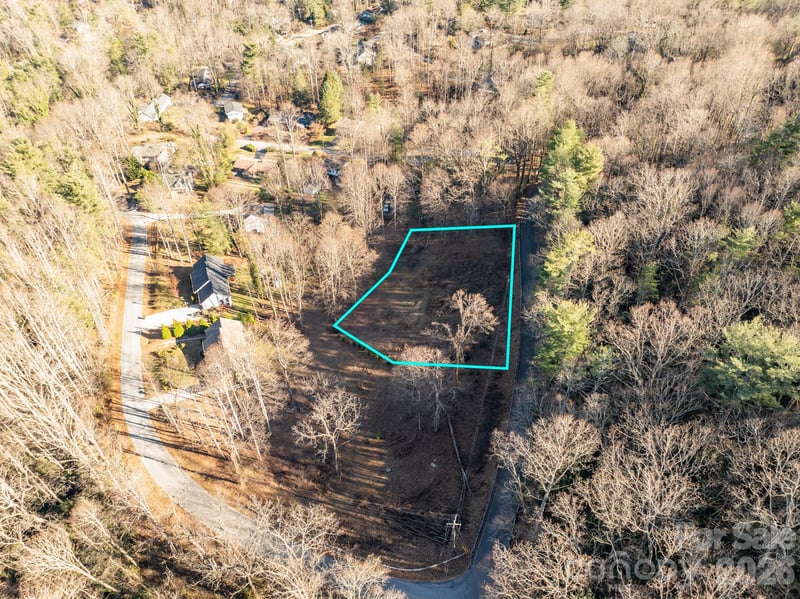 000 Davis Mountain Rd, Laurel Park, NC 28739