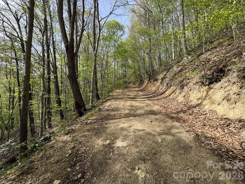 999999 Harwood Rd #2, Barnardsville, NC 28709