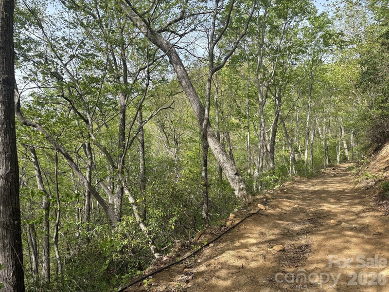 999999 Harwood Rd #2, Barnardsville, NC 28709