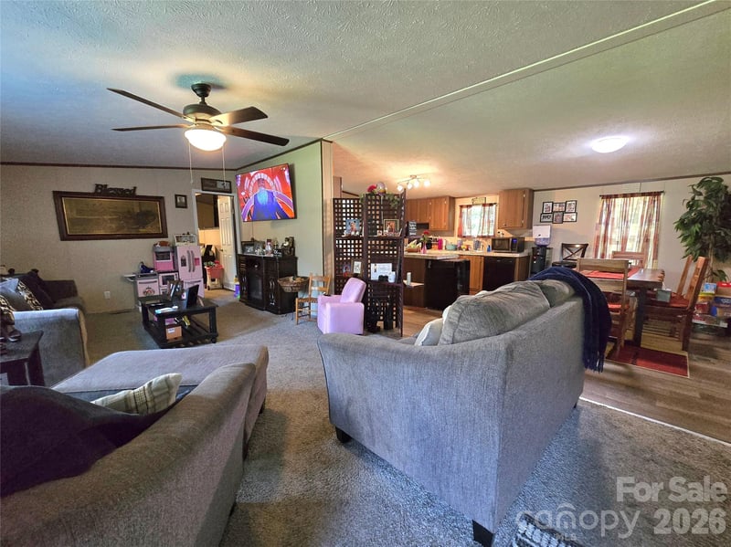 221 Turkey Pen Gap Rd, Horse Shoe, NC 28742
