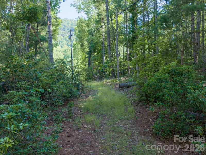 000 Mountain Laurel Ln, Fletcher, NC 28732