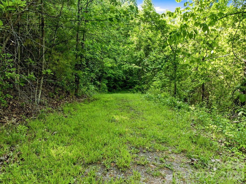 948 Cove Creek Ln, Mars Hill, NC 28754