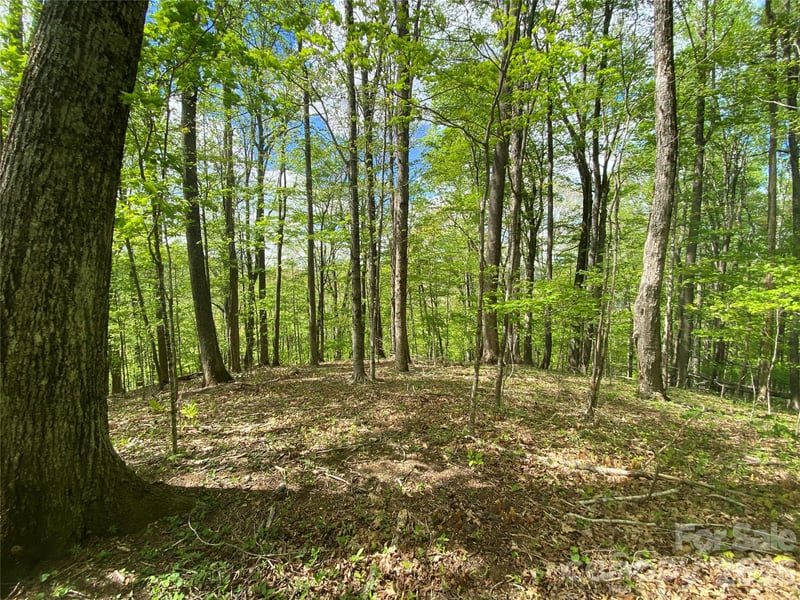 TBD Us 23 Hw, Mars Hill, NC 28754