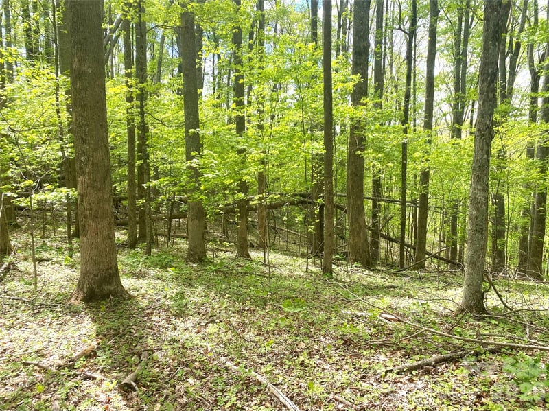 TBD Us 23 Hw, Mars Hill, NC 28754