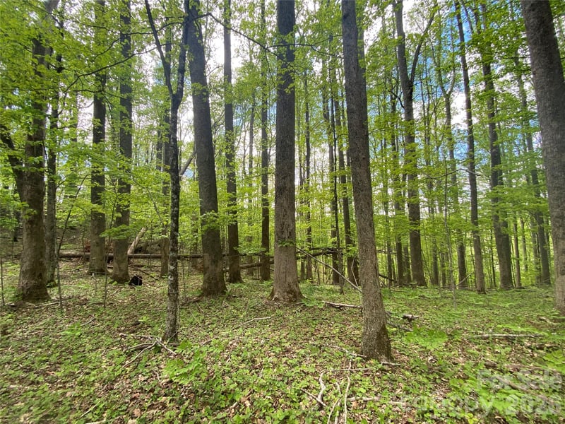 TBD Us 23 Hw, Mars Hill, NC 28754