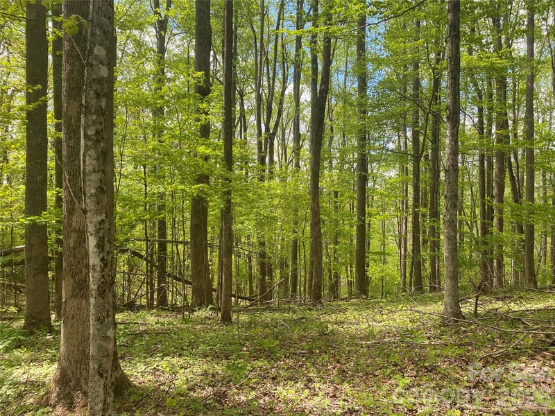 TBD Us 23 Hw, Mars Hill, NC 28754