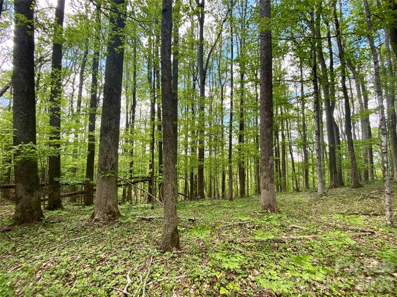 TBD Us 23 Hw, Mars Hill, NC 28754
