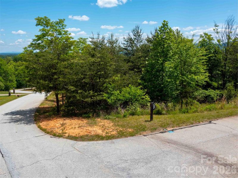 LOT 150 Birkdale Dr, Mill Spring, NC 28756