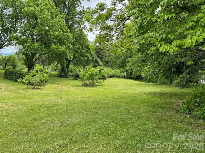 46 Green Hill Ave, Asheville, NC 28806