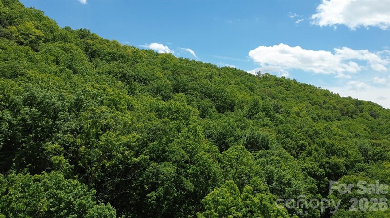 99999 Pink Fox Cove Rd, Weaverville, NC 28787
