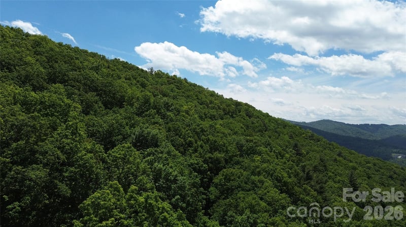 99999 Pink Fox Cove Rd, Weaverville, NC 28787