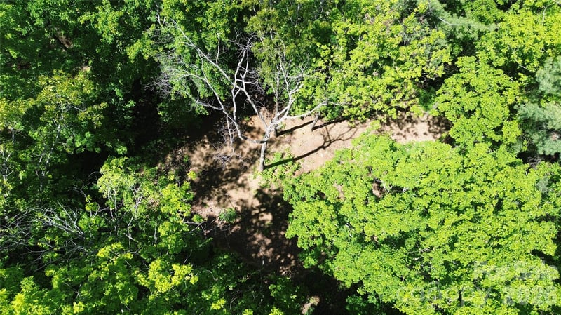 99999 Pink Fox Cove Rd, Weaverville, NC 28787