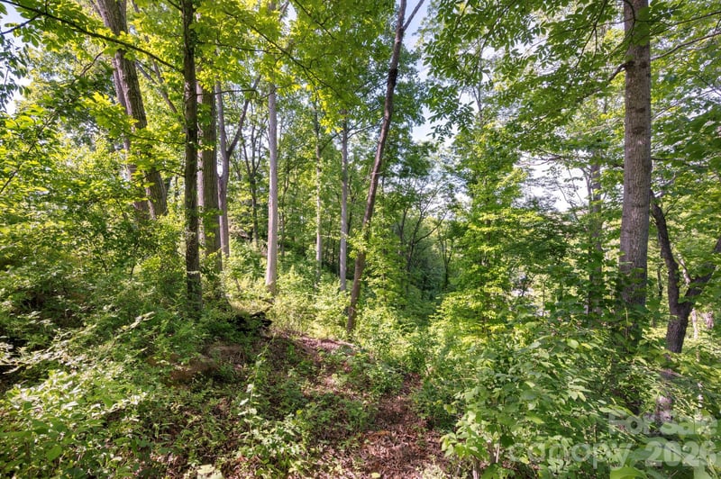 17 Tulip Poplar Trl #30, Asheville, NC 28804