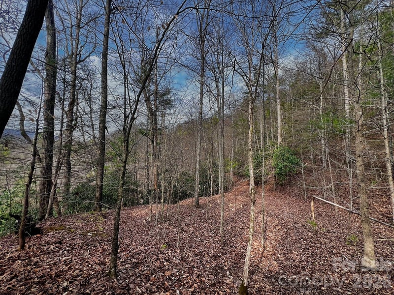 Lot 127 Bear River Lodge Trl, Marshall, NC 28753