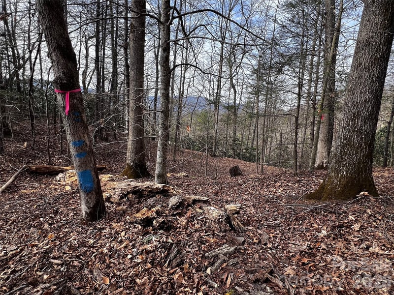 Lot 127 Bear River Lodge Trl, Marshall, NC 28753