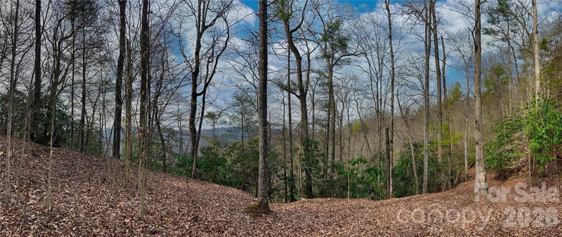 Lot 127 Bear River Lodge Trl, Marshall, NC 28753