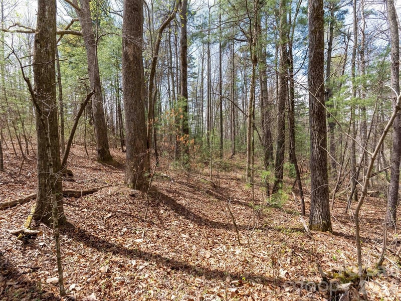 00 E Hilltop Dr #13B, Saluda, NC 28773