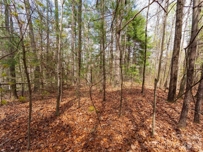 00 E Hilltop Dr #13B, Saluda, NC 28773