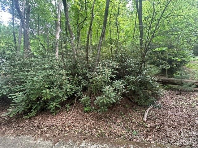 TBD Glen Cannon Dr #5-B, Pisgah Forest, NC 28768