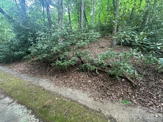 TBD Glen Cannon Dr #5-B, Pisgah Forest, NC 28768