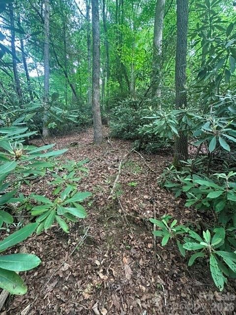 TBD Glen Cannon Dr #5-B, Pisgah Forest, NC 28768
