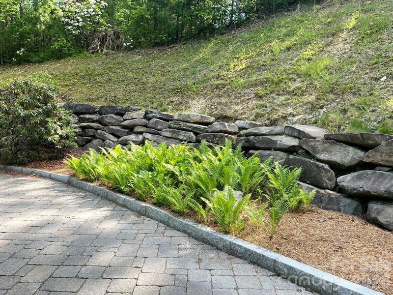 Lot 90 Peppervine Cir #90, Rosman, NC 28712