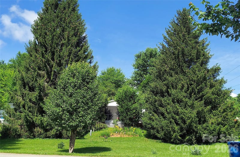 46 Larkspur Ln, Canton, NC 28716