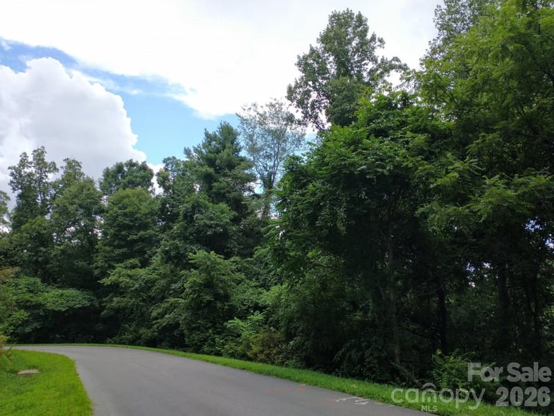 197 Starling Ps, Asheville, NC 28804