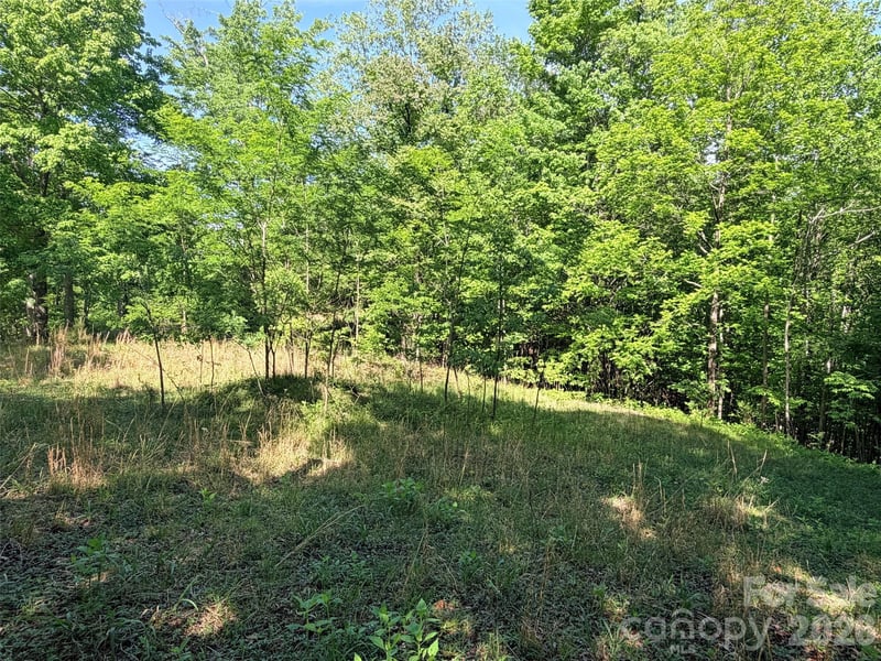 Lot 8 High Rock Rg, Lake Lure, NC 28746