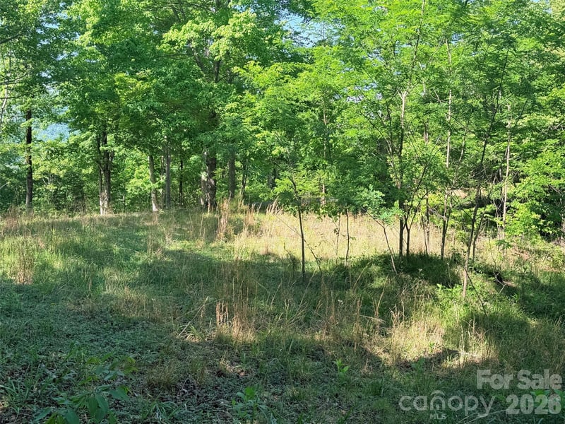 Lot 8 High Rock Rg, Lake Lure, NC 28746