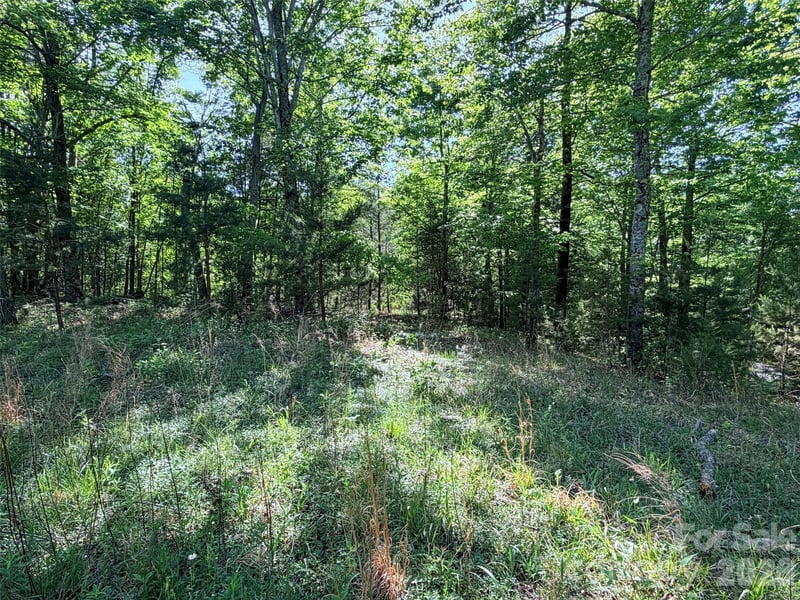 Lot 8 High Rock Rg, Lake Lure, NC 28746
