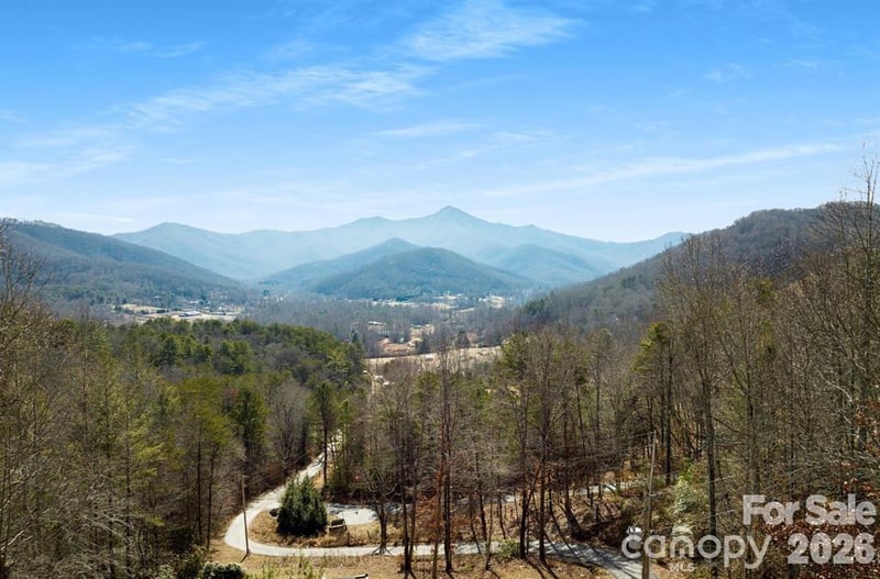 56 Great Horned Owl Rd, Candler, NC 28715