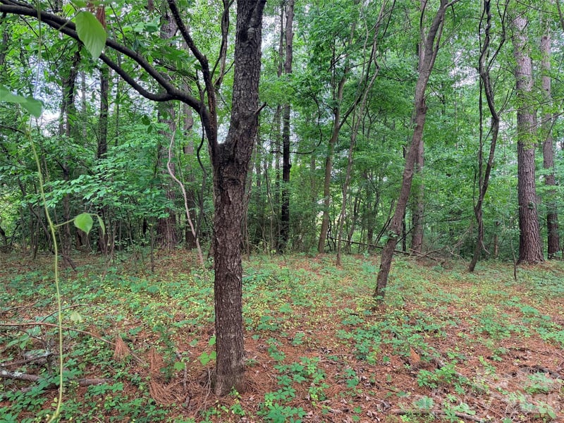 Lot 12 Sheepnose Dr, Lake Lure, NC 28746