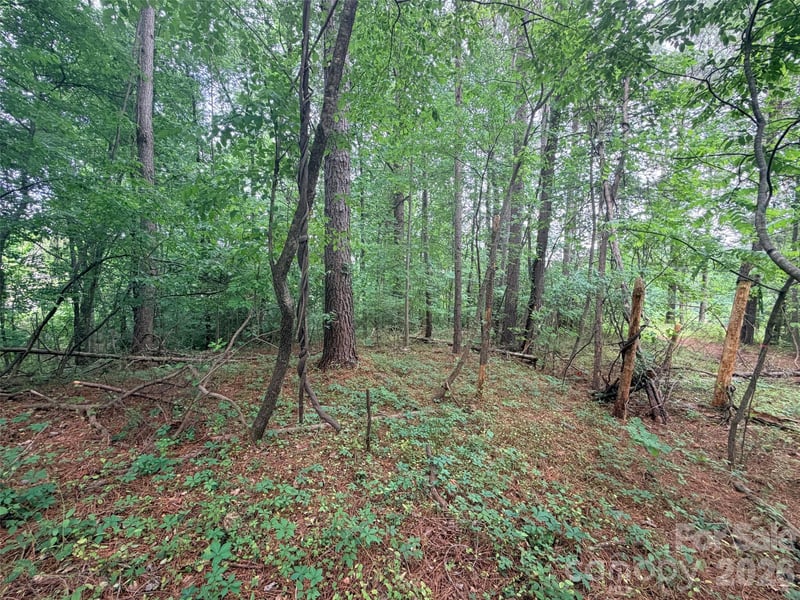 Lot 12 Sheepnose Dr, Lake Lure, NC 28746
