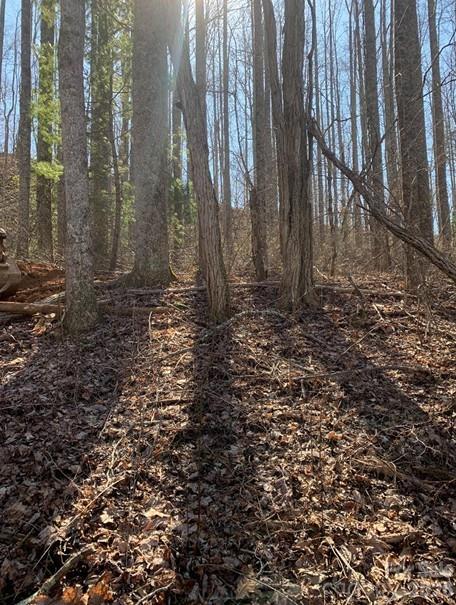 Lot 3 Cedar Mountain Rd #3, Asheville, NC 28803