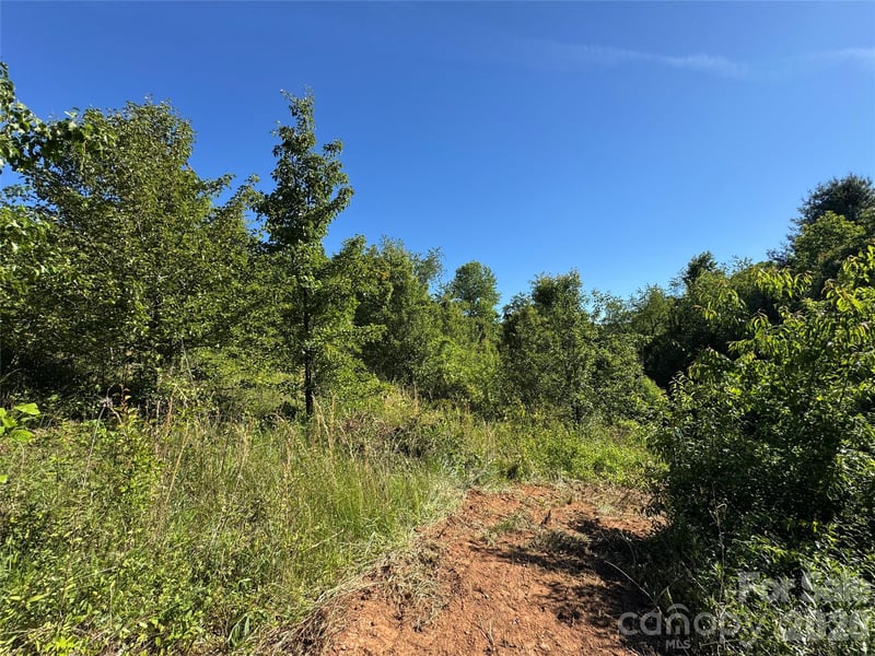 99999 Duckett Rd, Candler, NC 28715