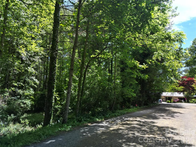 225 Country Ln, Brevard, NC 28712