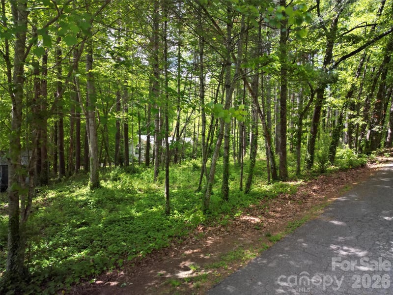 164 Country Ln, Brevard, NC 28712