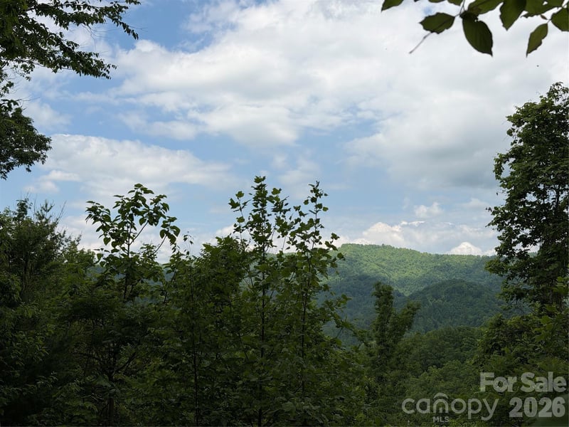 408 Arvil Gosnell Rd, Marshall, NC 28753