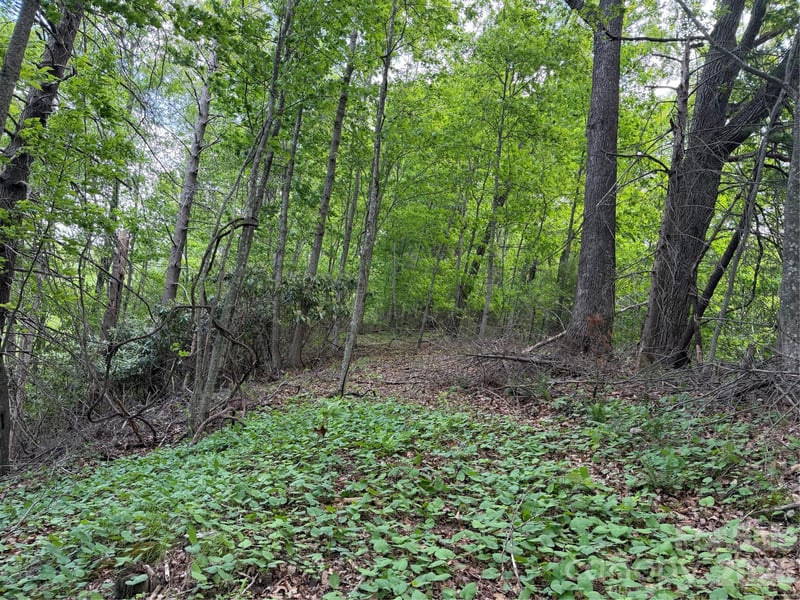 408 Arvil Gosnell Rd, Marshall, NC 28753