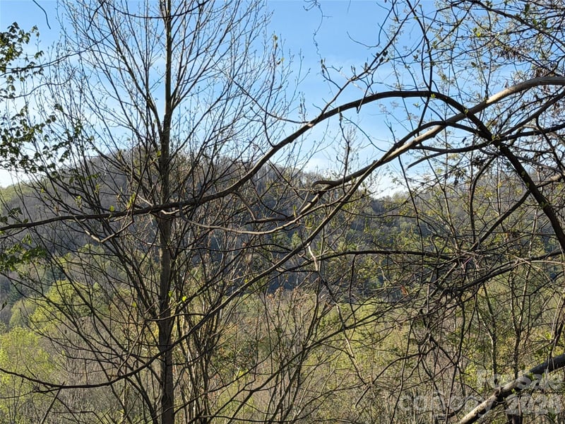 219 Bee Ridge Rd, Asheville, NC 28803