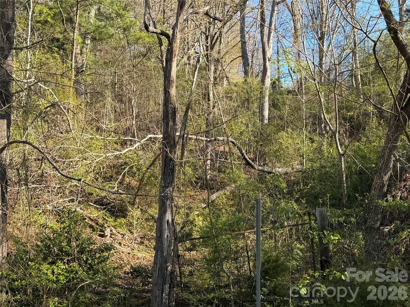219 Bee Ridge Rd, Asheville, NC 28803