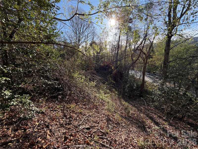 219 Bee Ridge Rd, Asheville, NC 28803