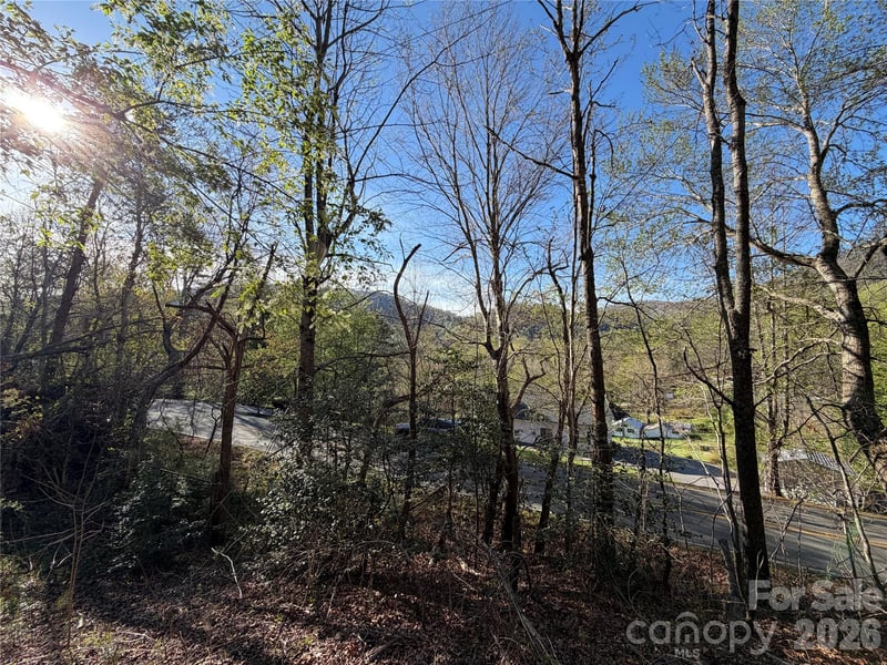 219 Bee Ridge Rd, Asheville, NC 28803