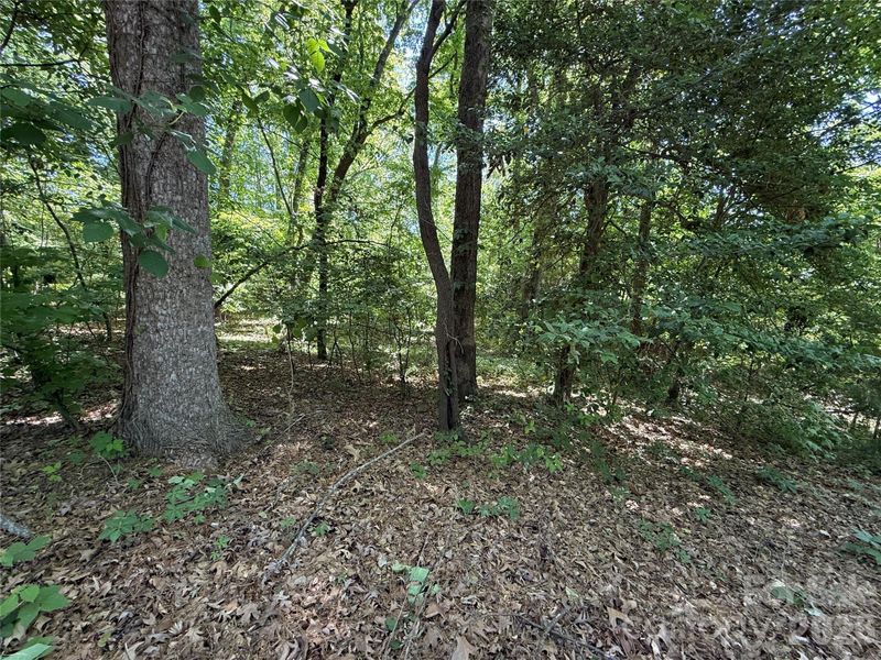 4446 Marion Dr, Terrell, NC 28682