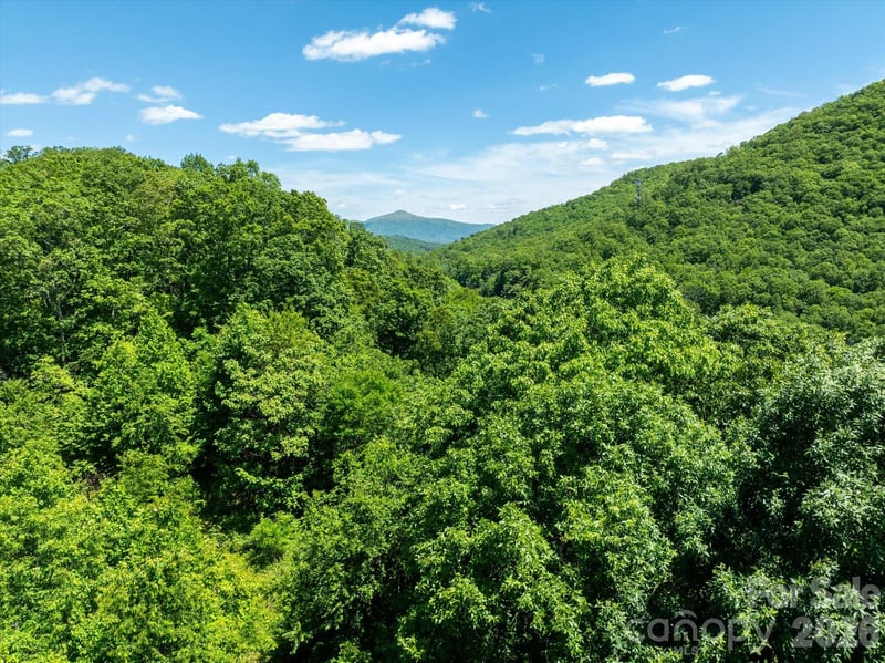 99999 Winding Ridge Rd, Fairview, NC 28730