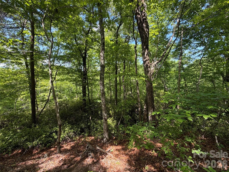 0 Buffalo Shoals Rd #1, Lake Lure, NC 28746