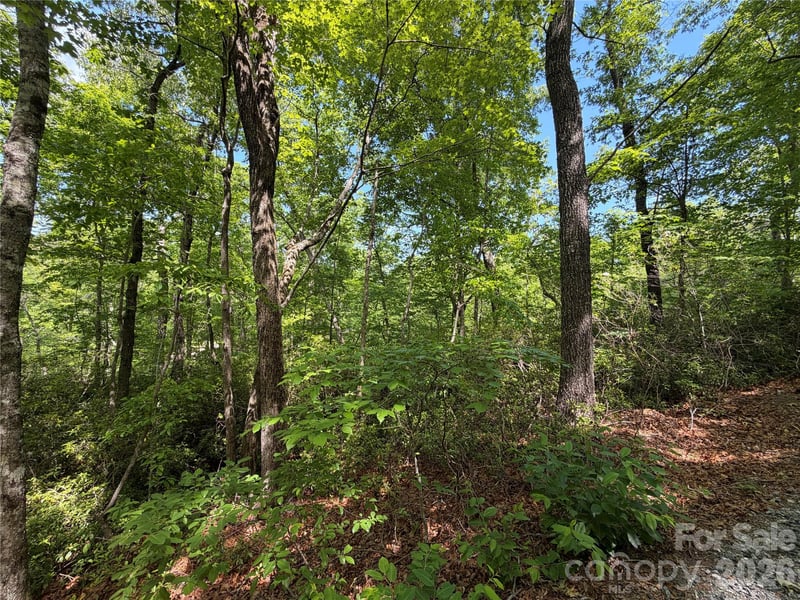 0 Buffalo Shoals Rd #1, Lake Lure, NC 28746