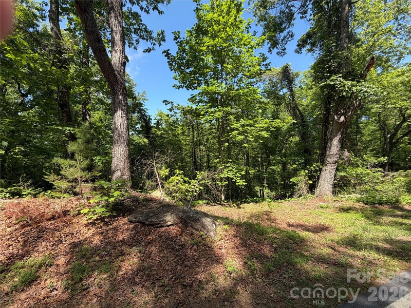 0 Buffalo Shoals Rd #1, Lake Lure, NC 28746